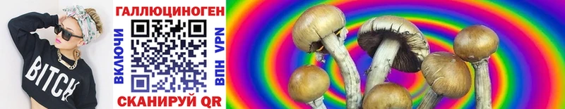Галлюциногенные грибы Magic Shrooms  Николаевск 