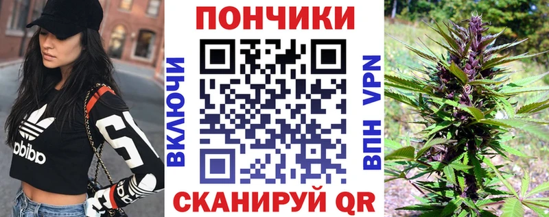 наркошоп  Николаевск  Шишки марихуана MAZAR 